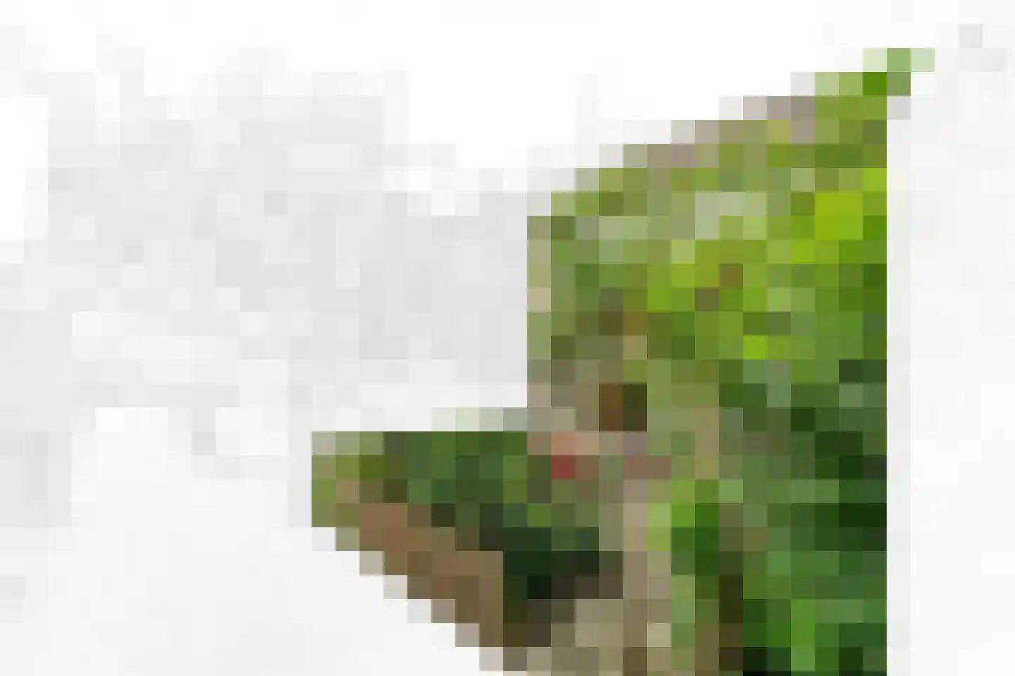 Koninginnepad 31 Den Hoorn thumbnail 7