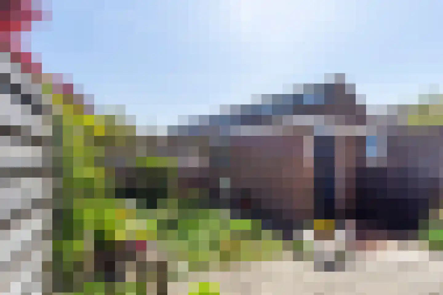 Koninginnepad 8 Den Hoorn thumbnail 15