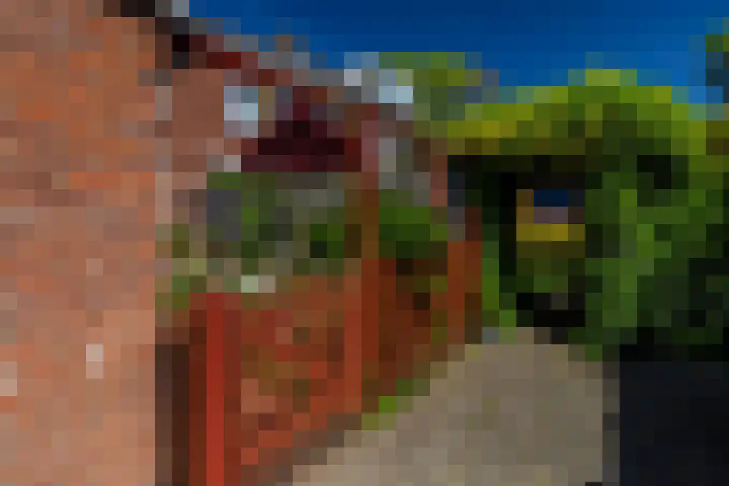 Koninginnepad 8 Den Hoorn thumbnail 16