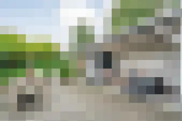 Koninginnepage 10 Meppel thumbnail 4