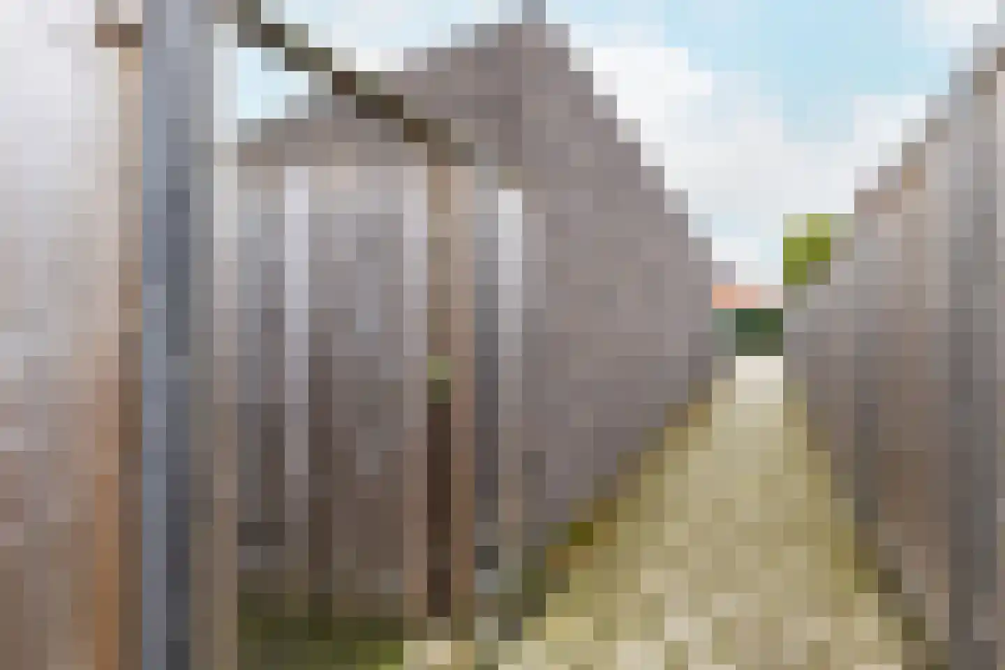 Koninginnepage 29 Terneuzen thumbnail 33