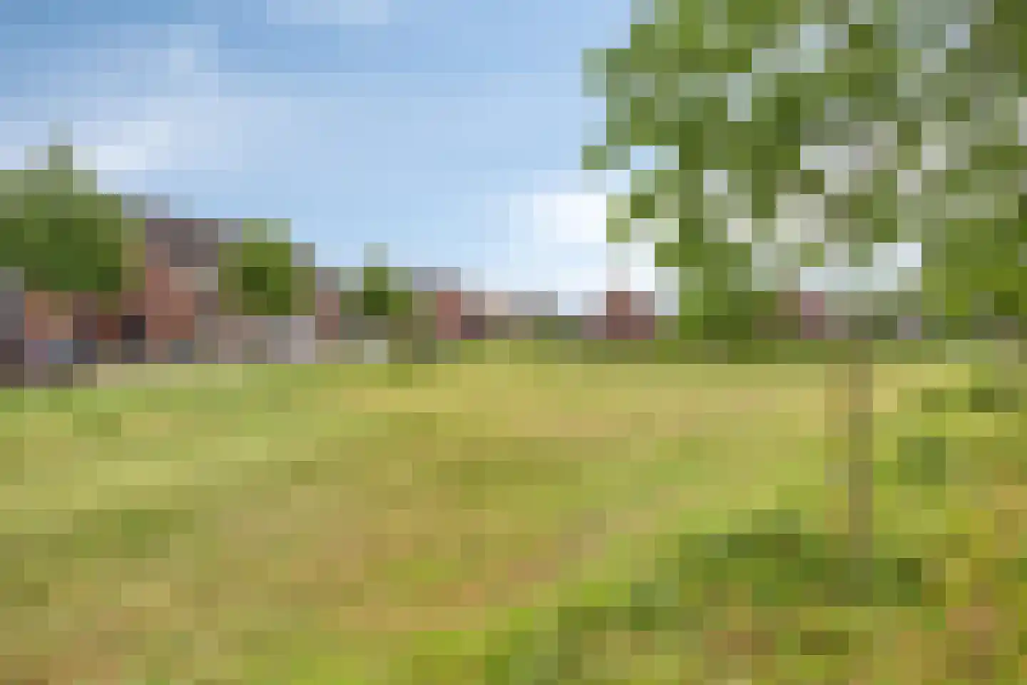 Koninginnepage 35 Someren thumbnail 35