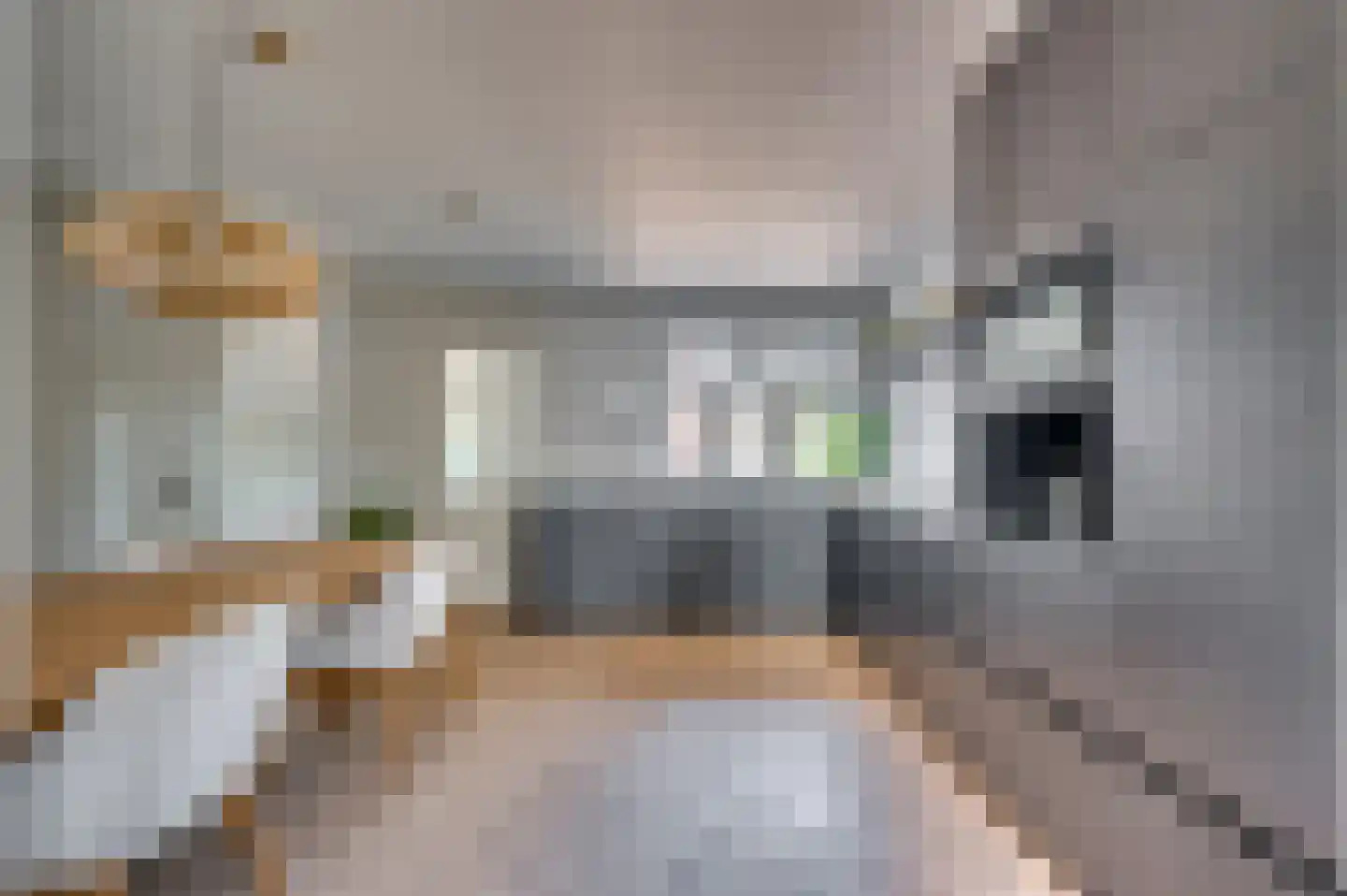 Koninginneplein 13 Belfeld thumbnail 19