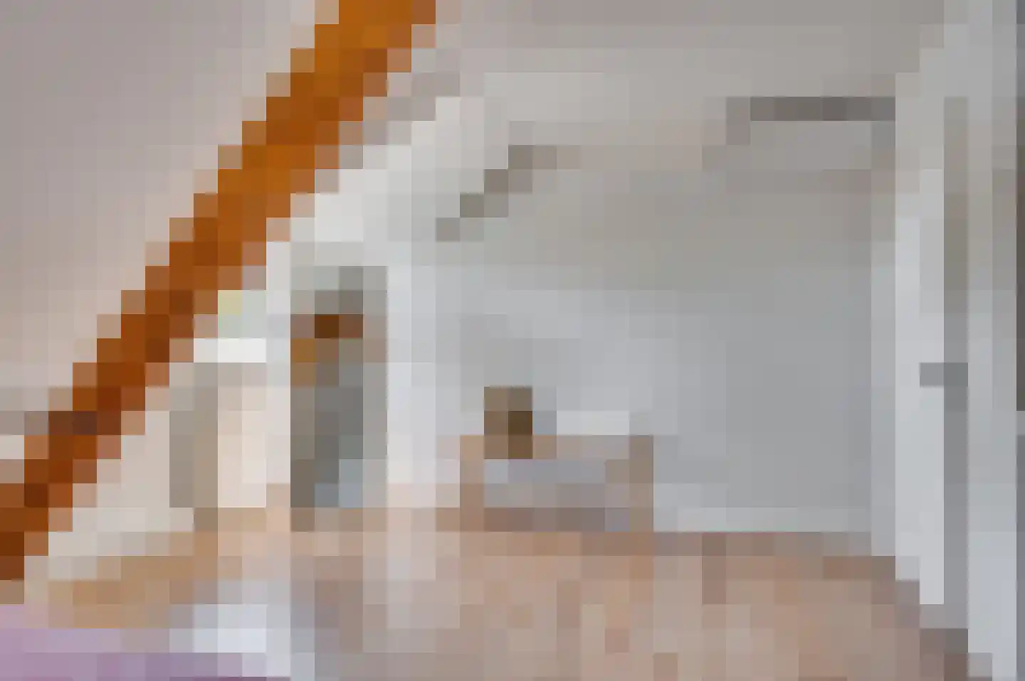 Koninginneplein 13 Belfeld thumbnail 30