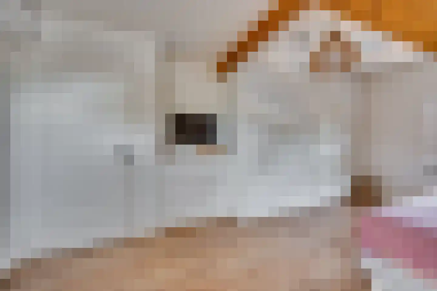 Koninginneplein 13 Belfeld thumbnail 31