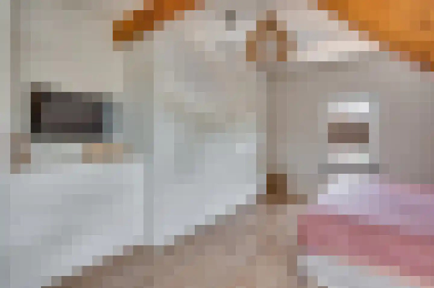 Koninginneplein 13 Belfeld thumbnail 32