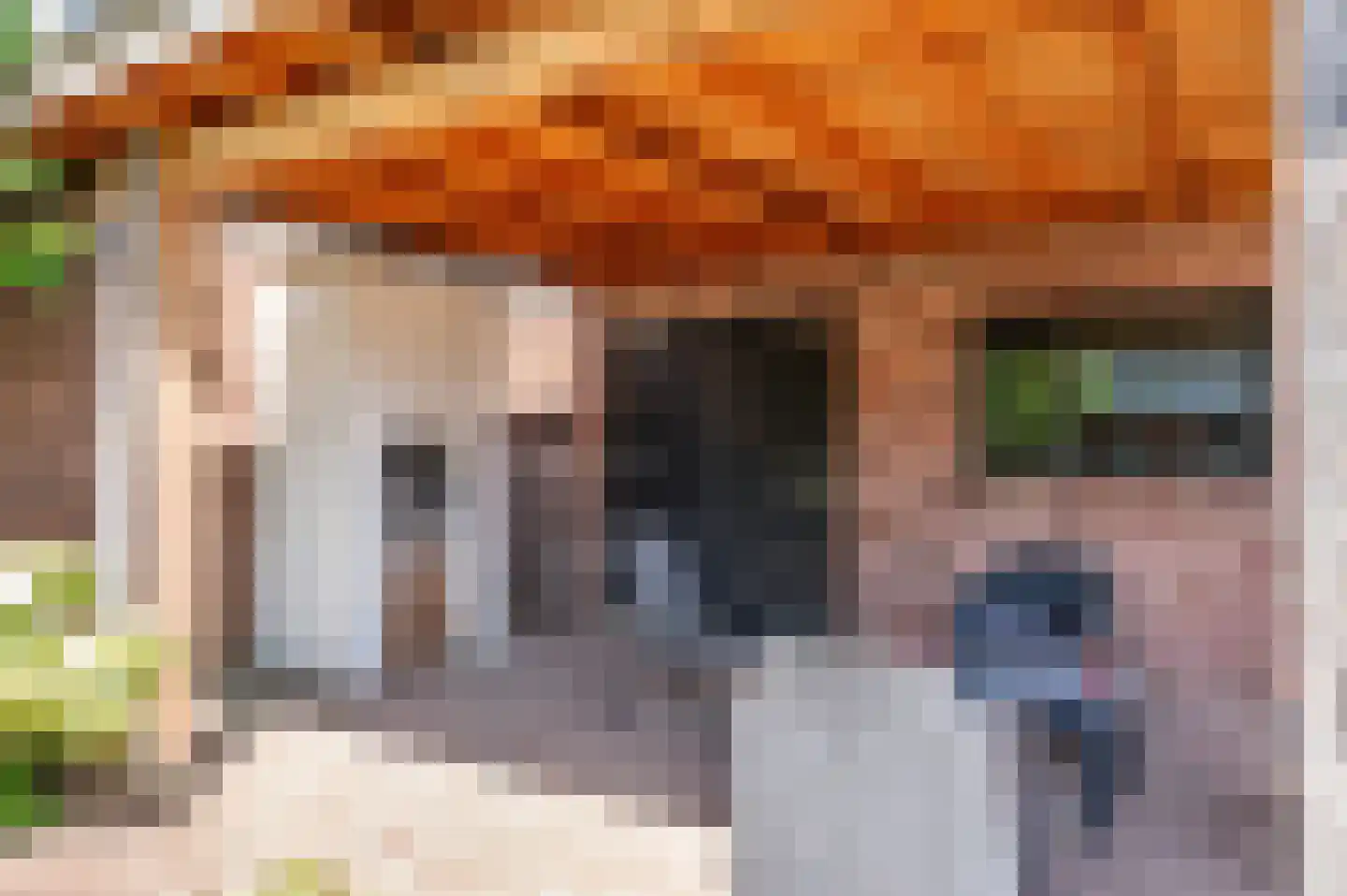 Koninginneplein 13 Belfeld thumbnail 46