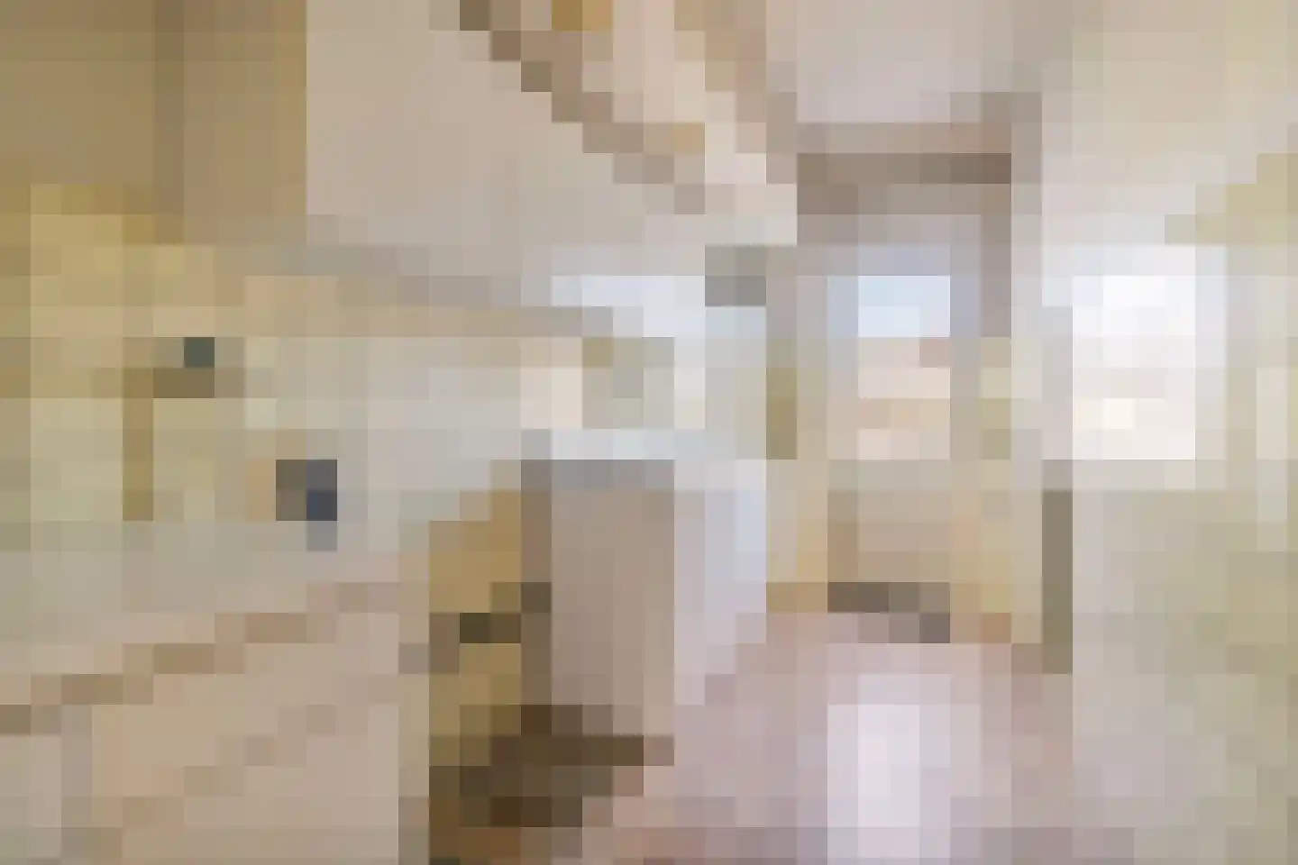 Koninginnesingel 94 Venlo thumbnail 9
