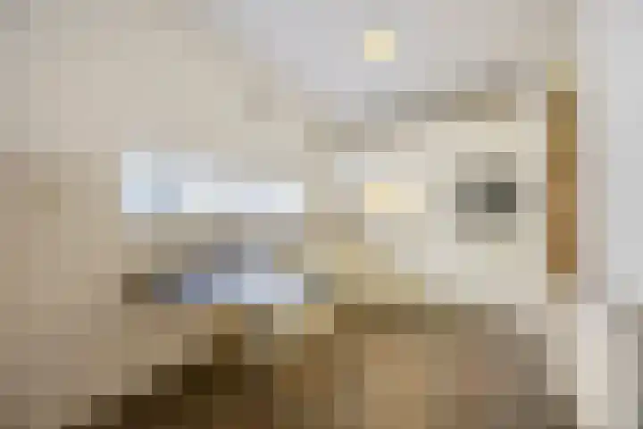 Koninginnestraat 10 Geldrop thumbnail 10