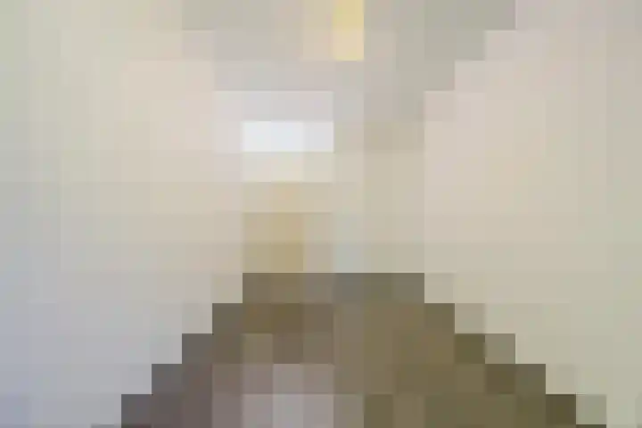 Koninginnestraat 10 Geldrop thumbnail 18