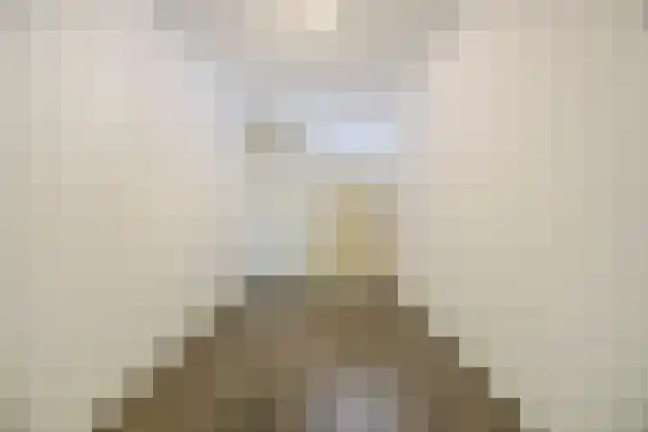 Koninginnestraat 10 Geldrop thumbnail 20