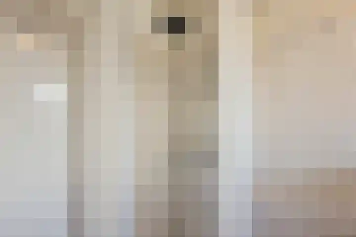 Koninginnestraat 10 Geldrop thumbnail 26