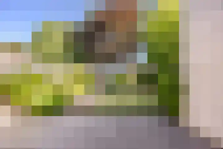 Koninginnestraat 10 Geldrop thumbnail 30