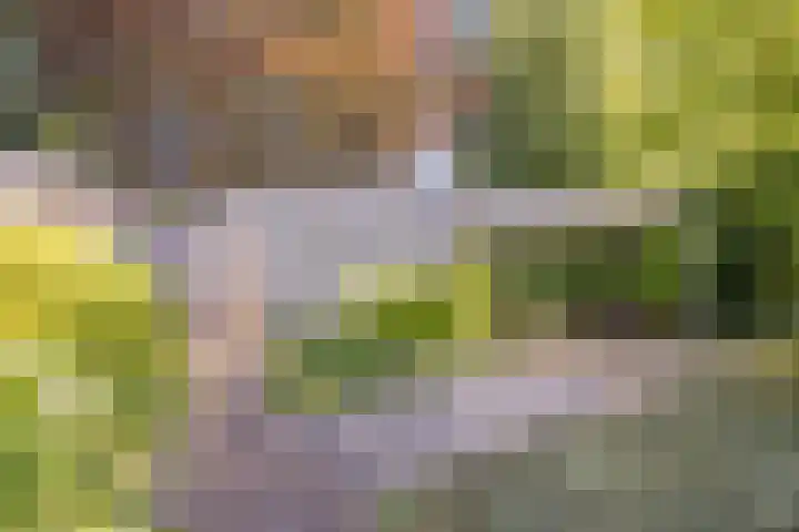 Koninginnestraat 10 Geldrop thumbnail 31