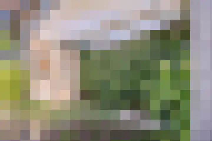 Koninginnestraat 10 Geldrop thumbnail 32