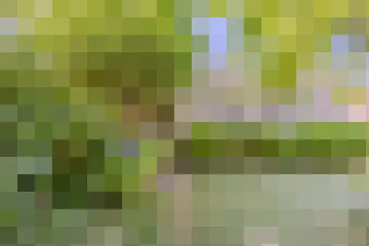 Koninginnestraat 10 Geldrop thumbnail 33