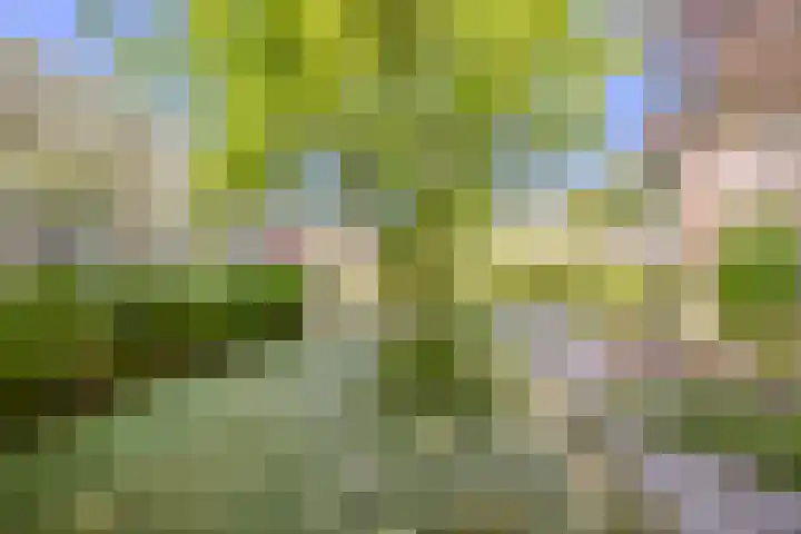 Koninginnestraat 10 Geldrop thumbnail 34