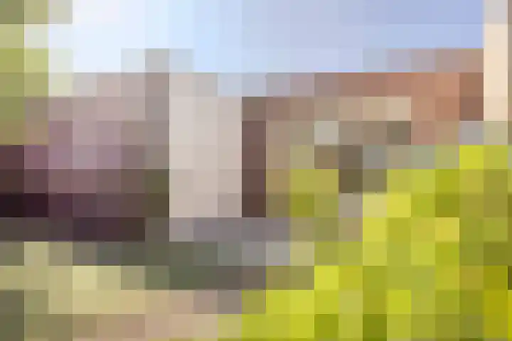 Koninginnestraat 10 Geldrop thumbnail 35