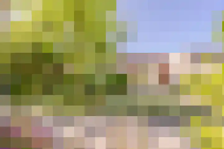 Koninginnestraat 10 Geldrop thumbnail 36