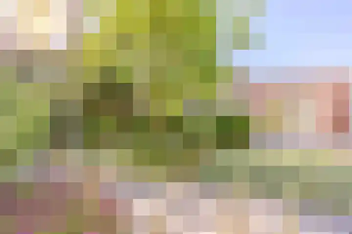 Koninginnestraat 10 Geldrop thumbnail 37