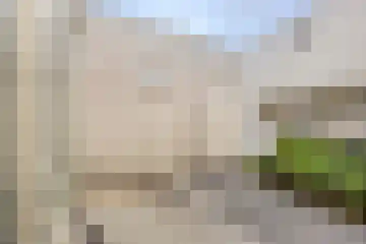 Koninginnestraat 10 Geldrop thumbnail 40
