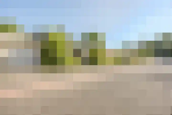 Koninginnestraat 10 Geldrop thumbnail 50