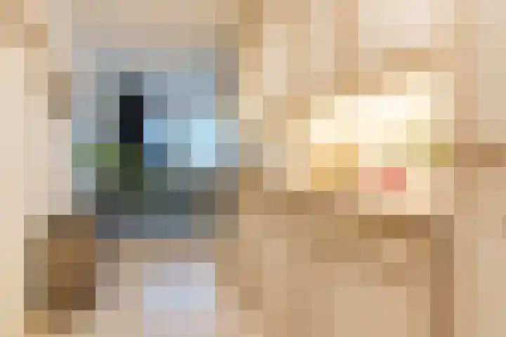 Koninginnestraat 101 Geldrop thumbnail 15