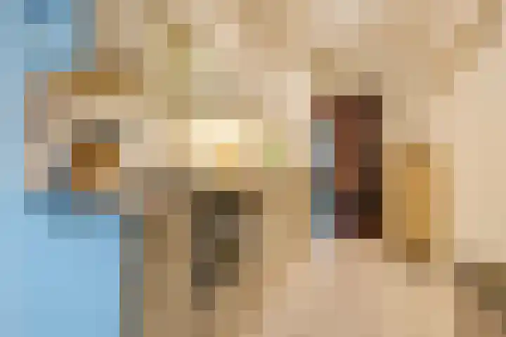 Koninginnestraat 101 Geldrop thumbnail 16