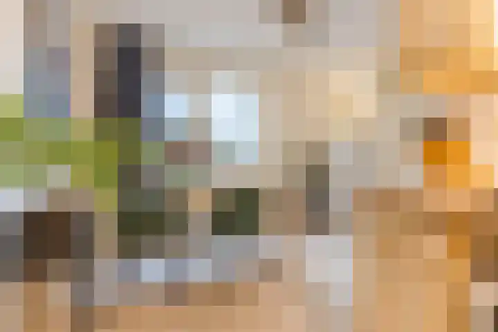 Koninginnestraat 101 Geldrop thumbnail 17
