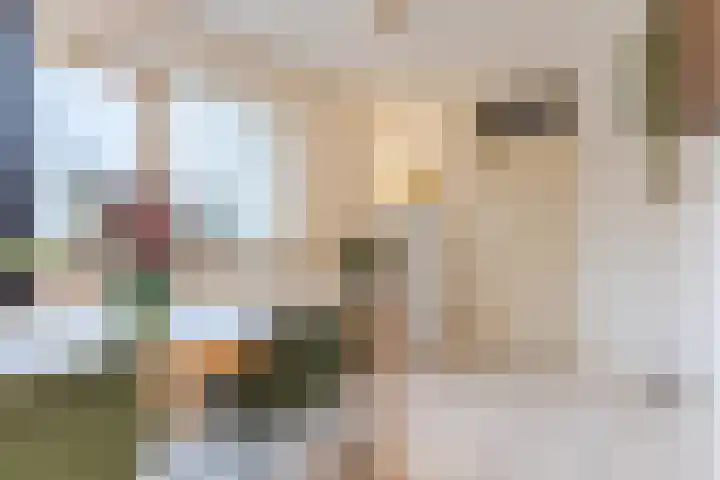 Koninginnestraat 101 Geldrop thumbnail 18