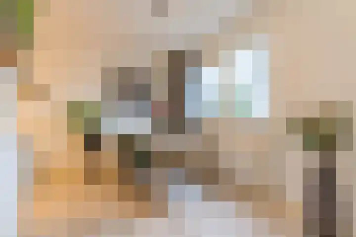 Koninginnestraat 101 Geldrop thumbnail 19