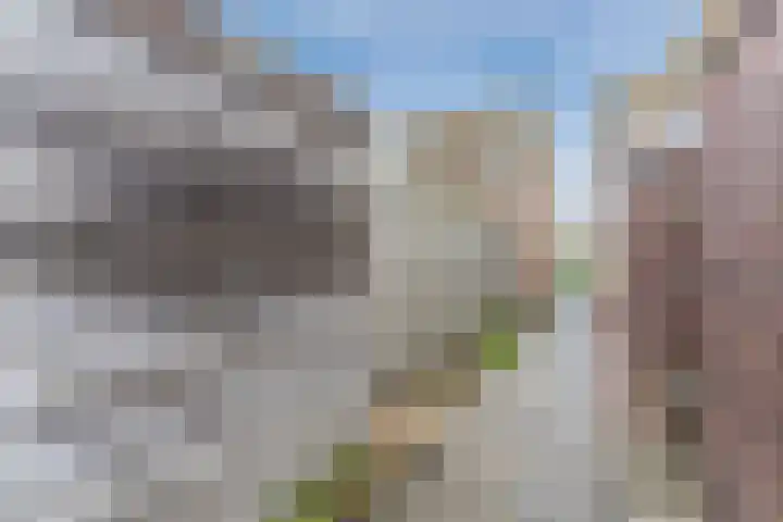 Koninginnestraat 101 Geldrop thumbnail 37