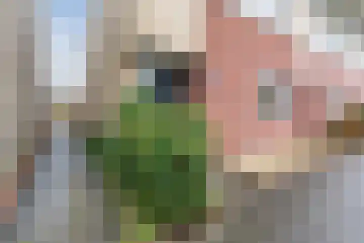 Koninginnestraat 101 Geldrop thumbnail 38