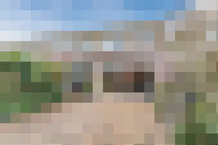 Koninginnestraat 101 Geldrop thumbnail 4