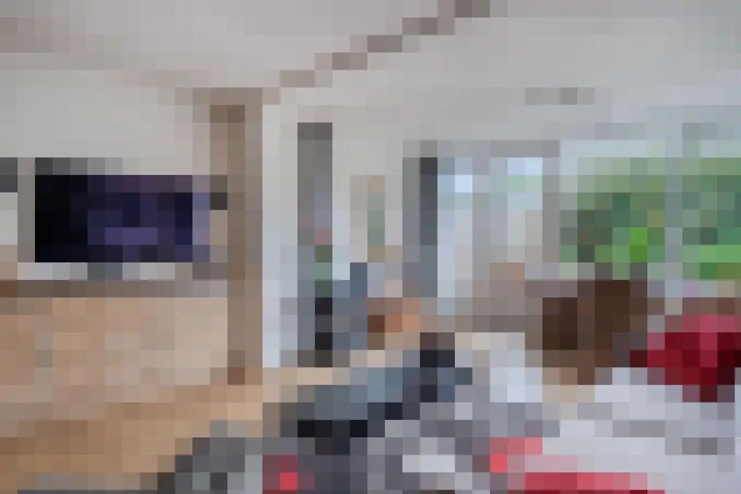 Koninginnestraat 115 Geldrop thumbnail 11
