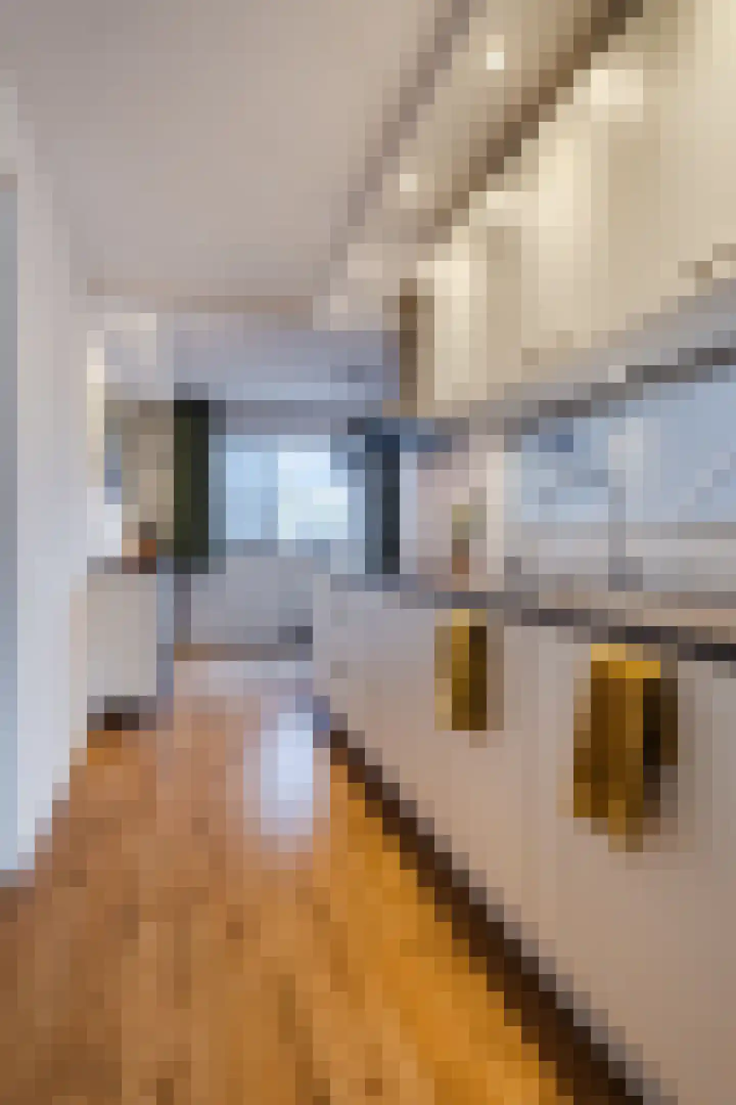 Koninginnestraat 115 Geldrop thumbnail 15