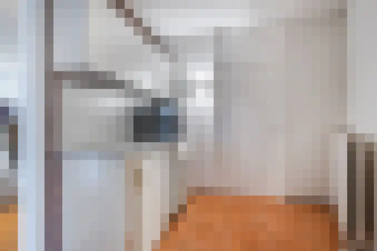 Koninginnestraat 115 Geldrop thumbnail 16