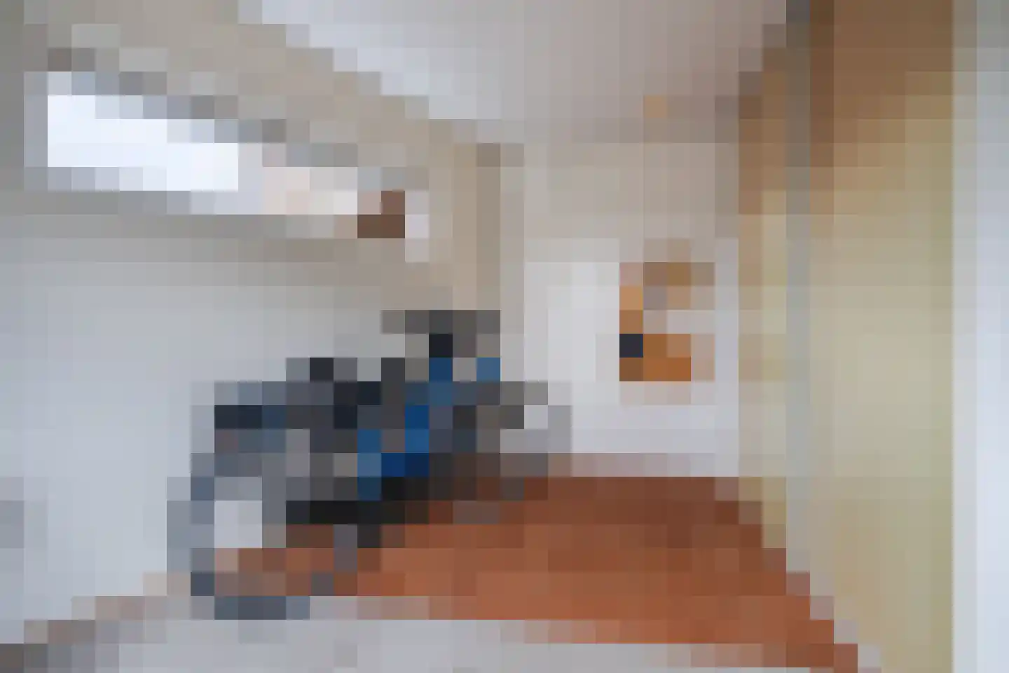 Koninginnestraat 115 Geldrop thumbnail 18