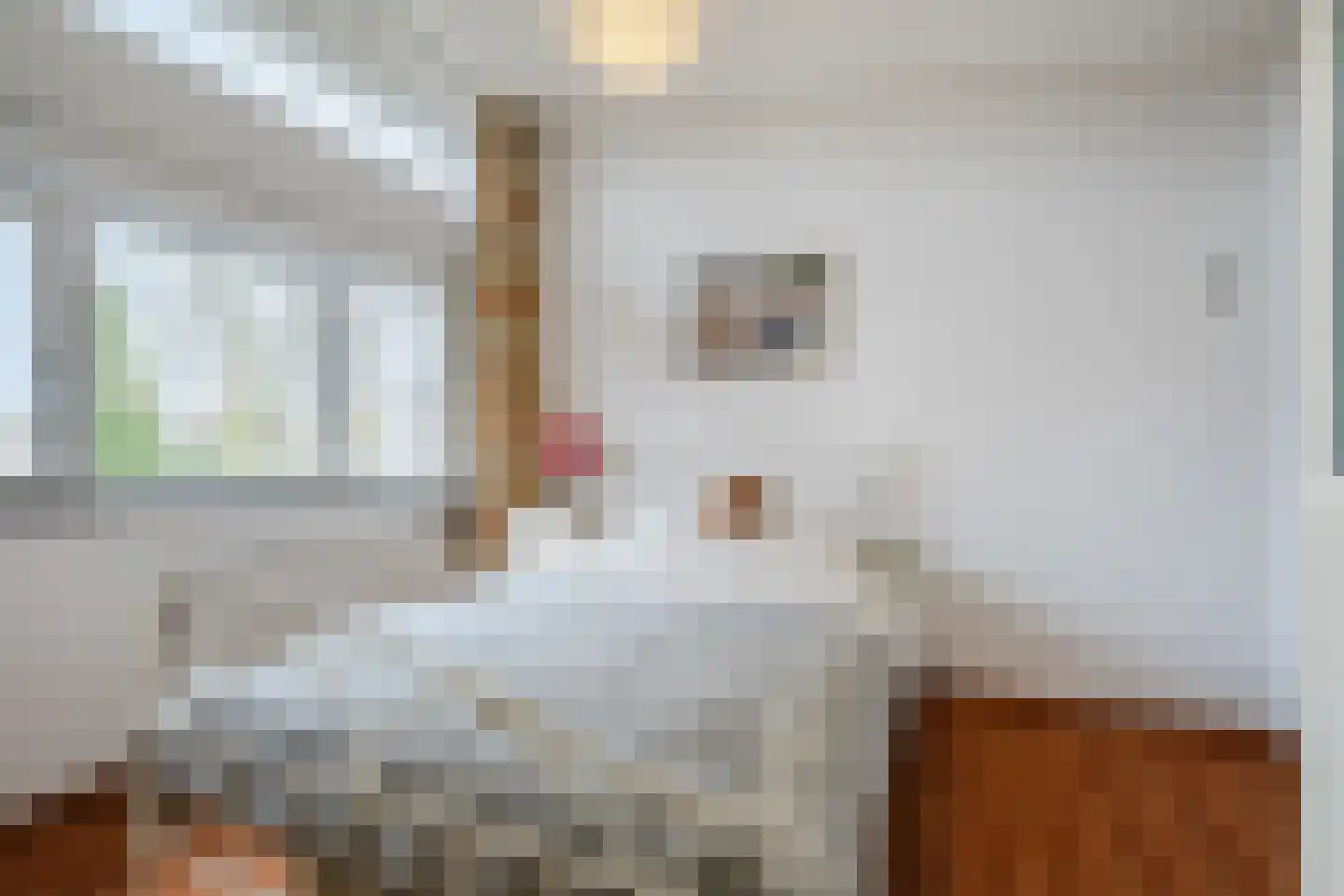 Koninginnestraat 115 Geldrop thumbnail 21