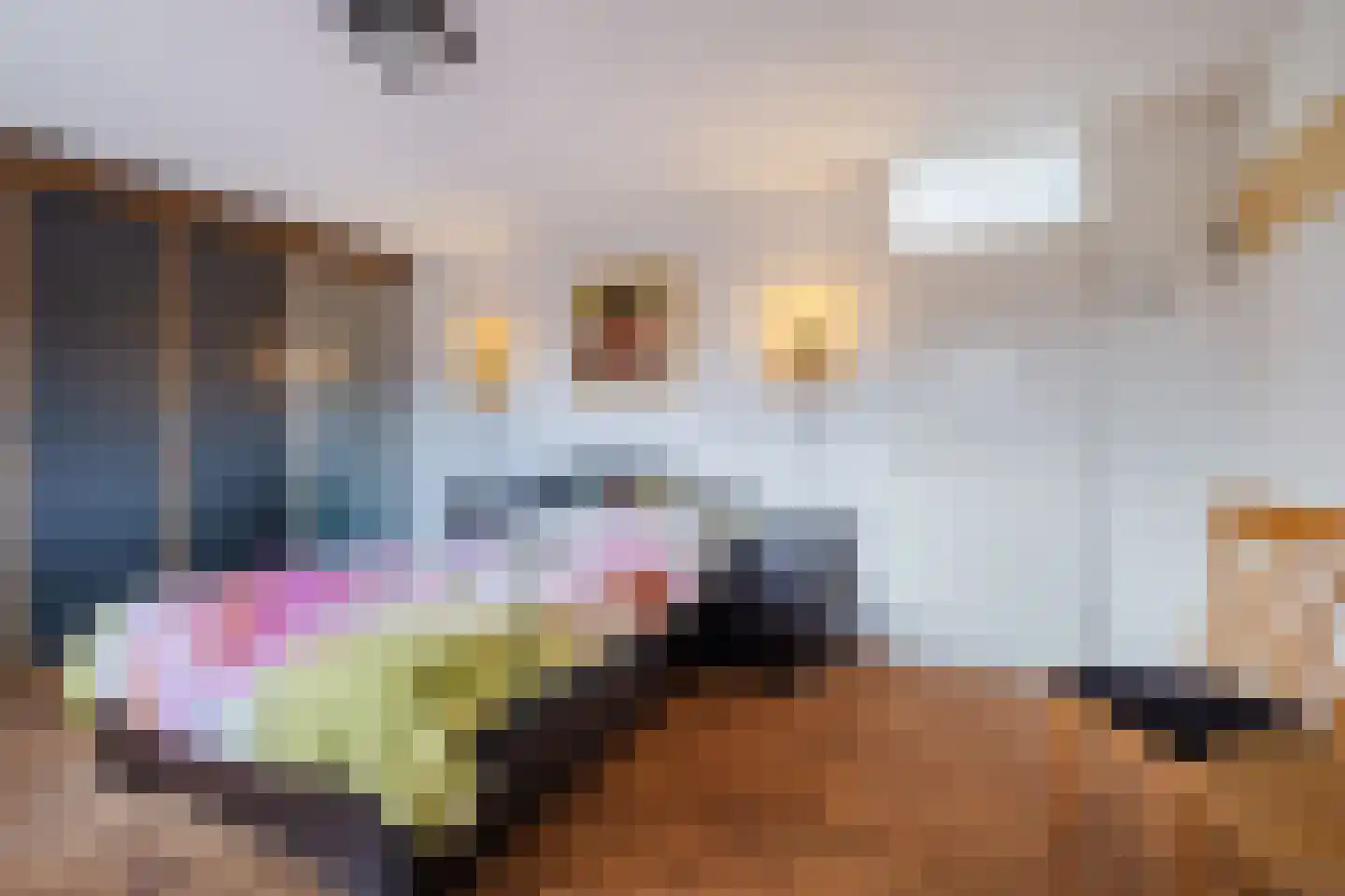 Koninginnestraat 115 Geldrop thumbnail 26