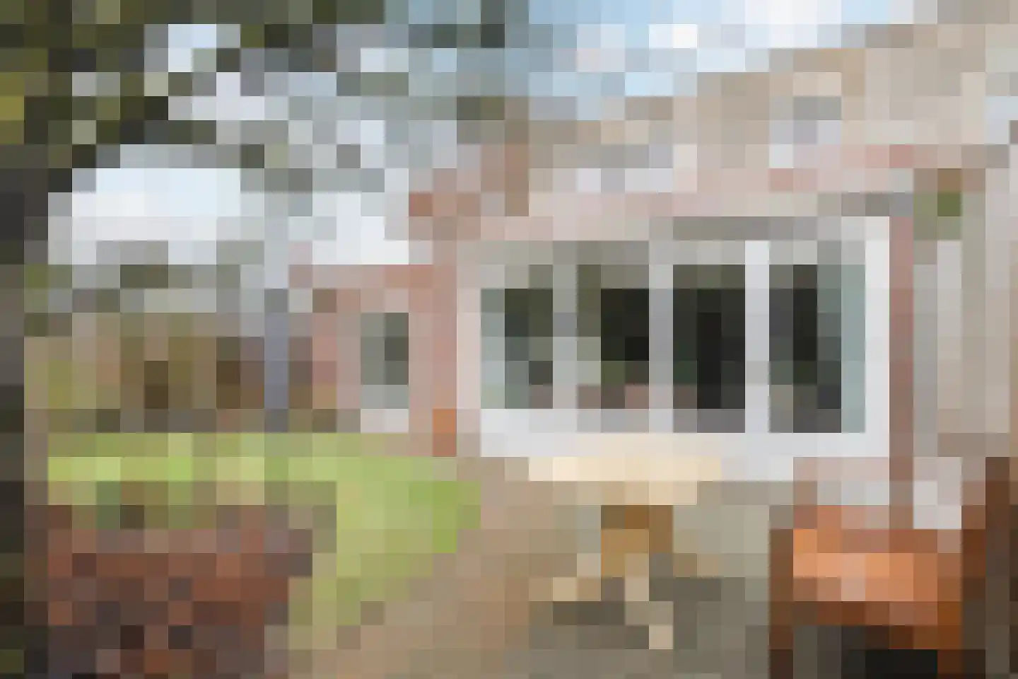 Koninginnestraat 115 Geldrop thumbnail 28