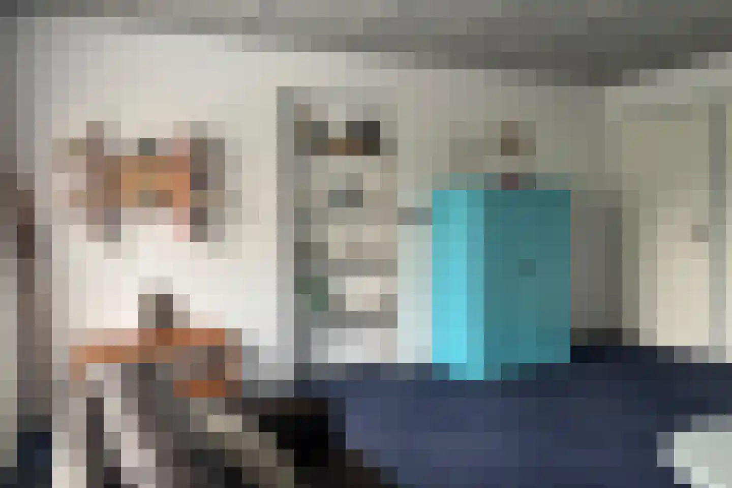 Koninginnestraat 13 IJzendijke thumbnail 6