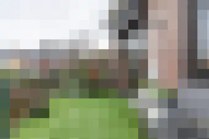 Koninginnestraat 14 D Kerkrade thumbnail 17