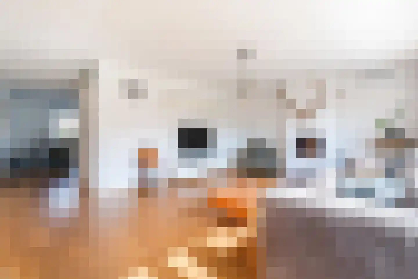 Koninginnestraat 19 Geldrop thumbnail 10