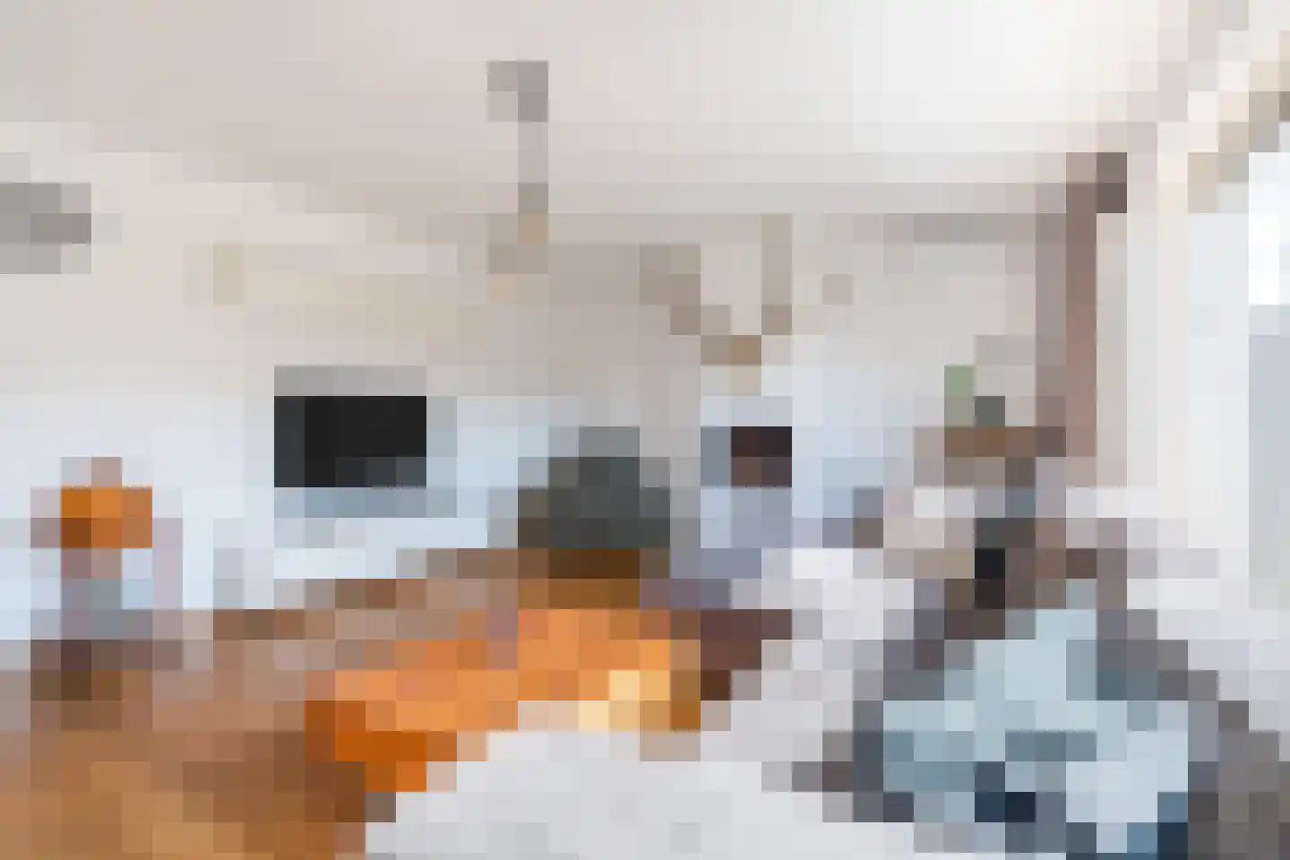 Koninginnestraat 19 Geldrop thumbnail 11