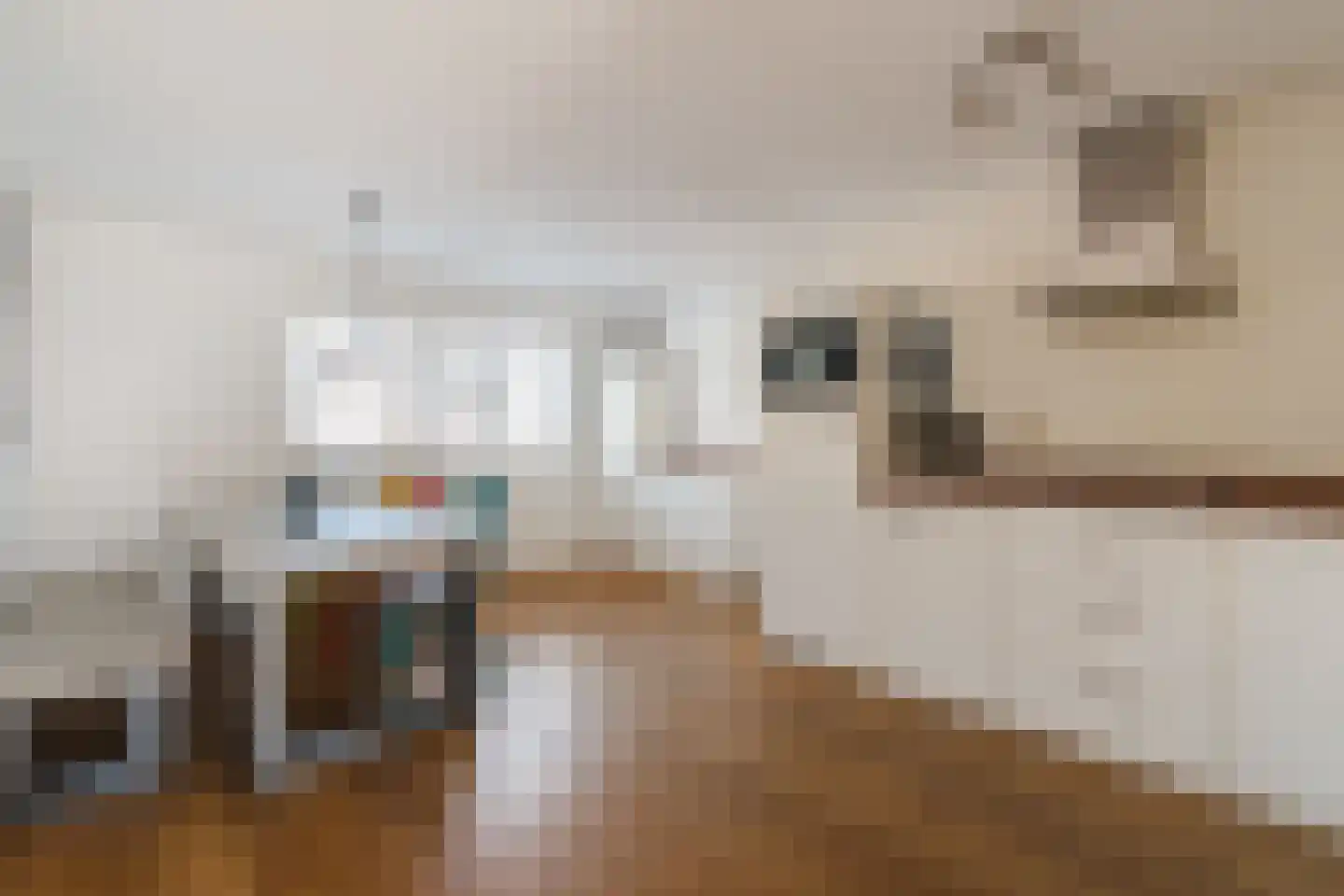Koninginnestraat 19 Geldrop thumbnail 15