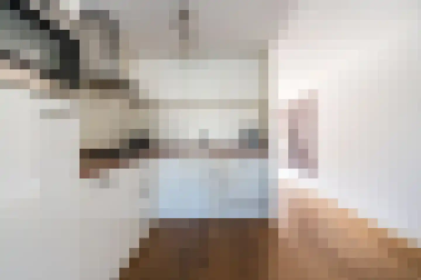 Koninginnestraat 19 Geldrop thumbnail 18