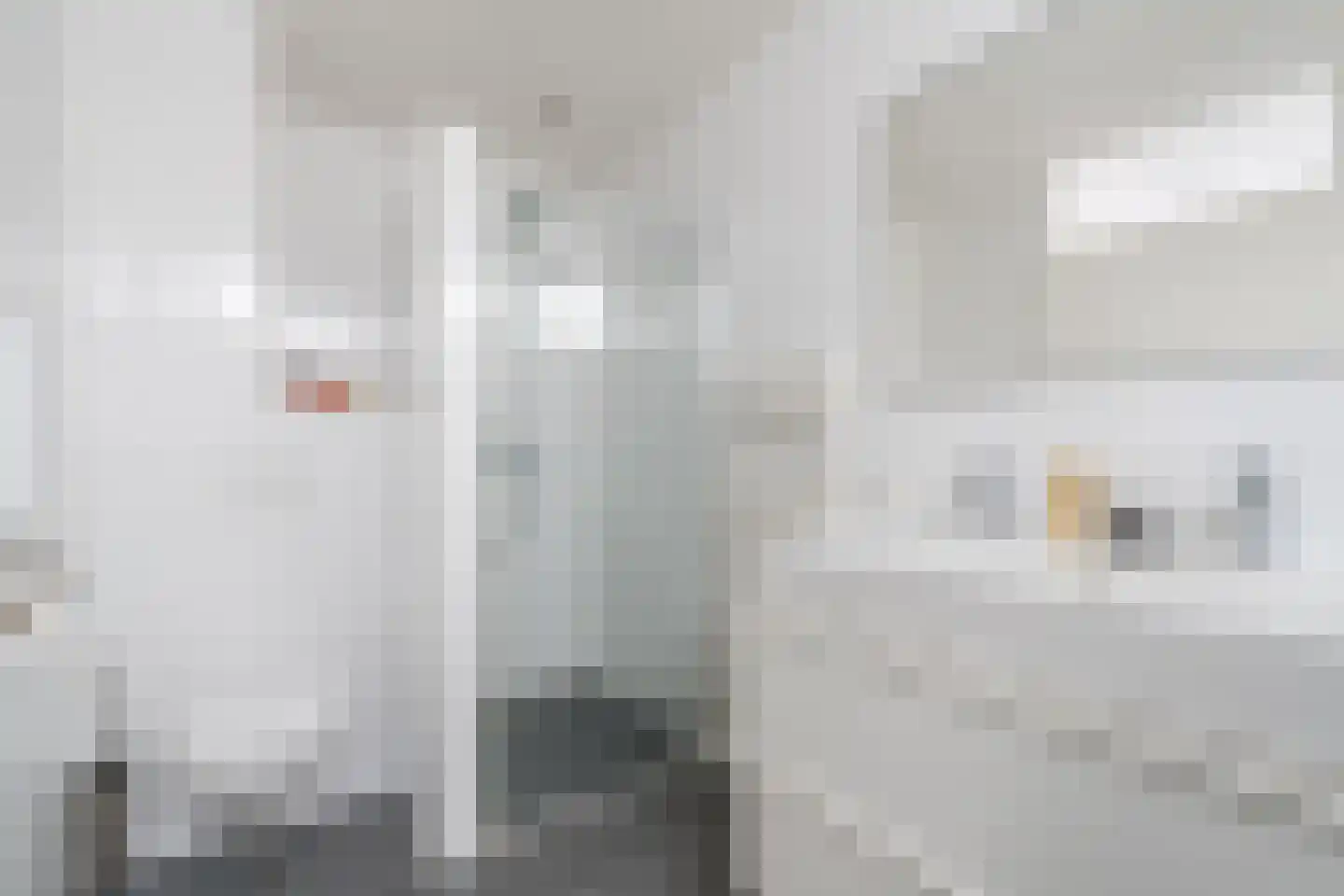 Koninginnestraat 19 Geldrop thumbnail 28