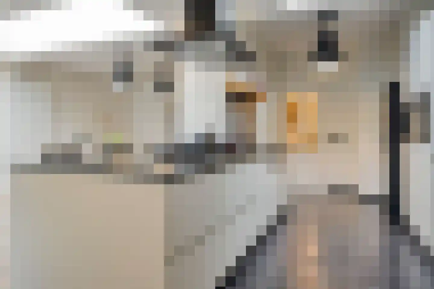 Koninginnestraat 20 IJzendijke thumbnail 17