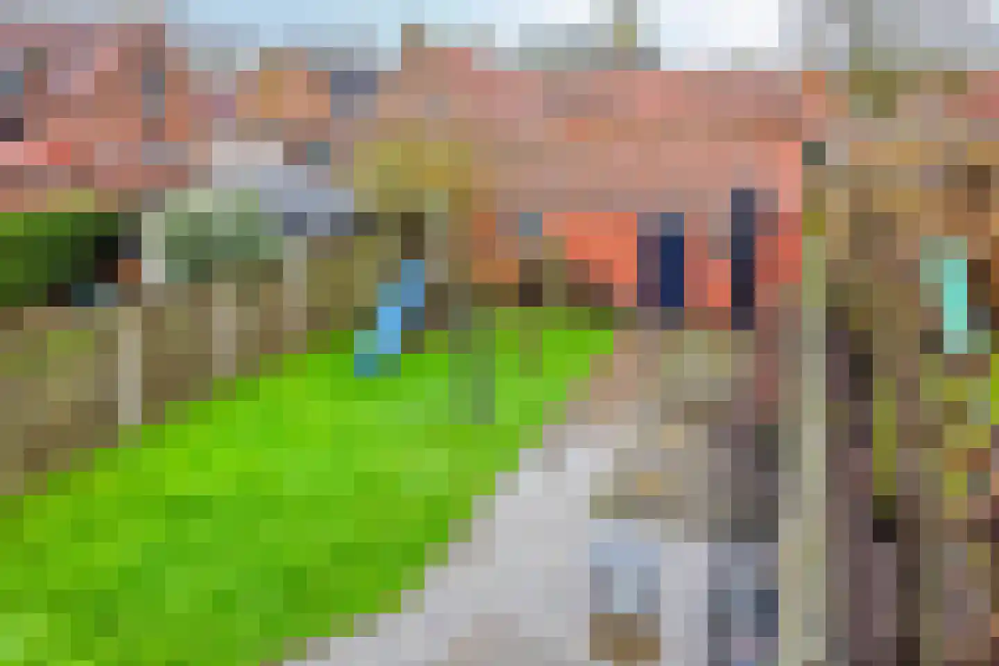 Koninginnestraat 20 IJzendijke thumbnail 40